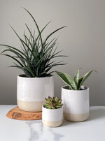 Load image into Gallery viewer, Double Dip Speckle Planters
