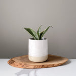 Load image into Gallery viewer, Double Dip Speckle Planters
