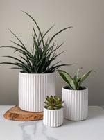 Load image into Gallery viewer, Carved Planters

