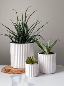 Carved Speckle Planters