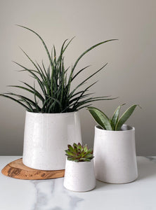 Angled Speckle Planters