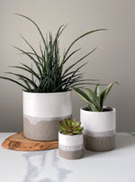 Load image into Gallery viewer, Muji Planters
