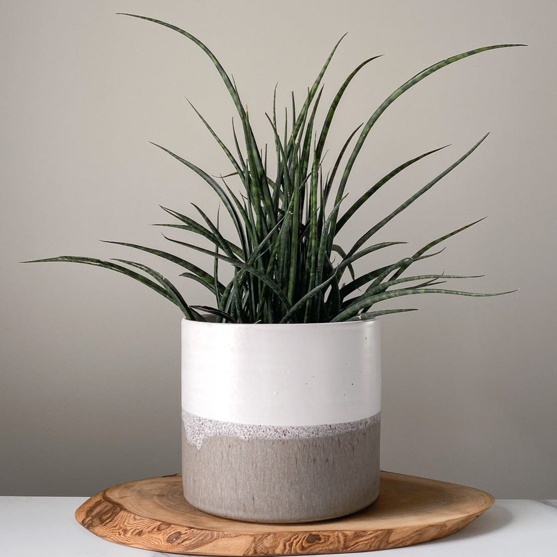 muji plant pot Muji Planters