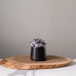 Load image into Gallery viewer, Matte Black Angled Planters
