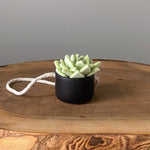 Load image into Gallery viewer, Matte Black Planter Ornaments
