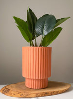 Load image into Gallery viewer, 6 Inch Carved Terra Cotta Planter
