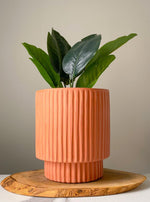 Load image into Gallery viewer, 7 Inch Carved Terra Cotta Planter
