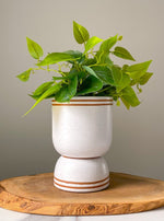 Load image into Gallery viewer, 4 Inch Round Stripe Speckle Planter
