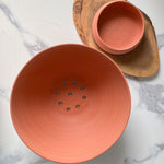 Load image into Gallery viewer, 12 Inch Terra Cotta Dish Planter
