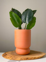 Load image into Gallery viewer, 5 Inch Round Terra Cotta Planter
