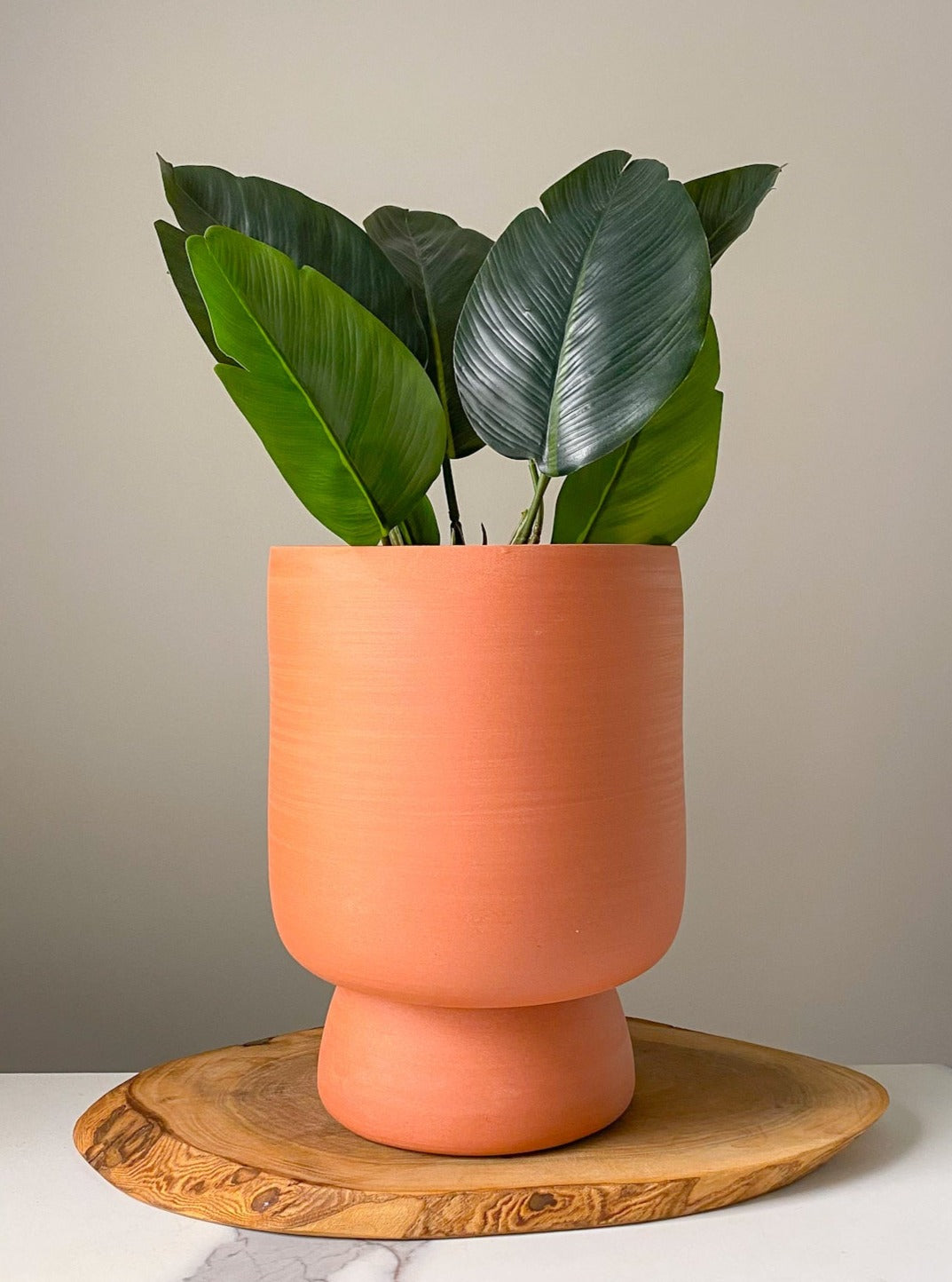 7 Inch Round Terra Cotta Planter