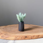 Load image into Gallery viewer, Vase Magnets
