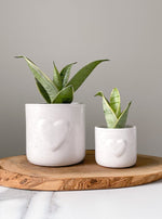 Load image into Gallery viewer, Speckled Heart Planters
