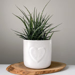 Load image into Gallery viewer, Heart Planters
